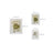 Picture Frame Set - Rigid Plastic - Black - 10 Pieces in Various Sizes