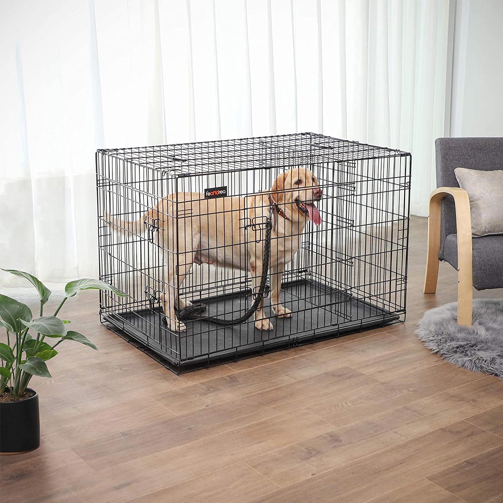 Dog Cage - Metal - Black - Folding Design with 2 Doors and Tray