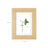 Picture Frame Set - Wood - White, Grey, Brown - Table and Wall Display for 4 x 6 and 5 x 7 Inch Photos