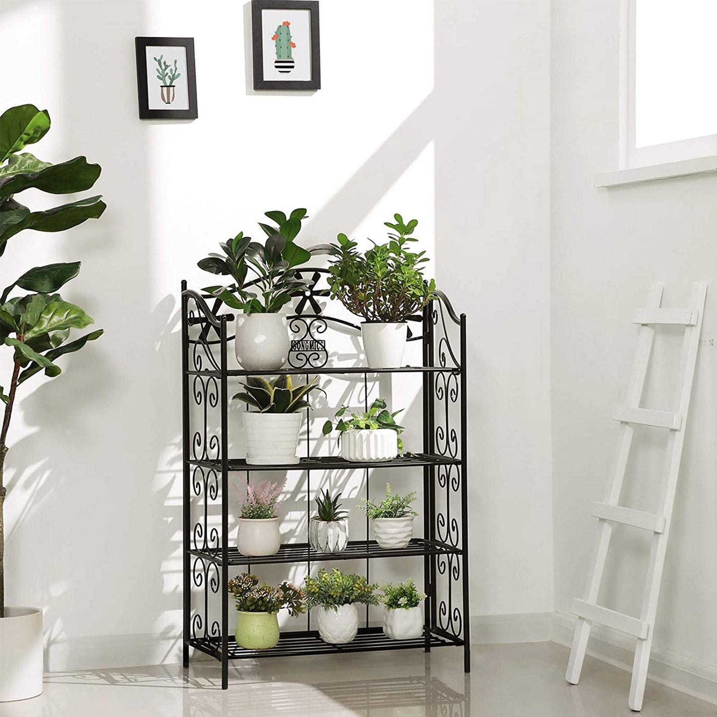 4 Tier Bathroom Shelf - Metal - Black - Versatile Plant Rack and Display