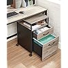 Mobile Office File Cabinet - Steel - Rustic Brown and Black - Rolling with Open Compartment