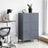 Storage Cabinet - Metal - Grey - 6 Doors