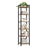 6-Tier Bookshelf - Wood and Steel - Rustic Brown and Ink Black