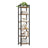 6-Tier Bookshelf - Wood and Steel - Rustic Brown and Ink Black