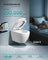Elongated D-Shaped Soft-Close Toilet Seat - 18.1L x 14.2W - Duroplast