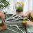 Non-Slip Velvet Clothes Hangers - Velvet - White - 30-Pack with Rose Gold Swivel Hooks