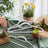 Non-Slip Velvet Clothes Hangers - 50 Pack - White - Space Saving Design with Rose Gold Swivel Hook
