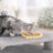 Cat Tree - Engineered Wood - Light Grey - Multi-Level with Hammock and Feeder Bowl