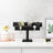 Jewellery Stand - Faux Leather - Black - Multi-functional Watch and Bracelet Holder