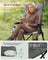 Reclining Camping Chair - 27.6" x 23.4" x 43.3" - Steel - Padded Seat