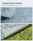 Picnic Blanket - Fabric - Light Blue with Leaf Pattern - Generously Sized 300 x 200 cm