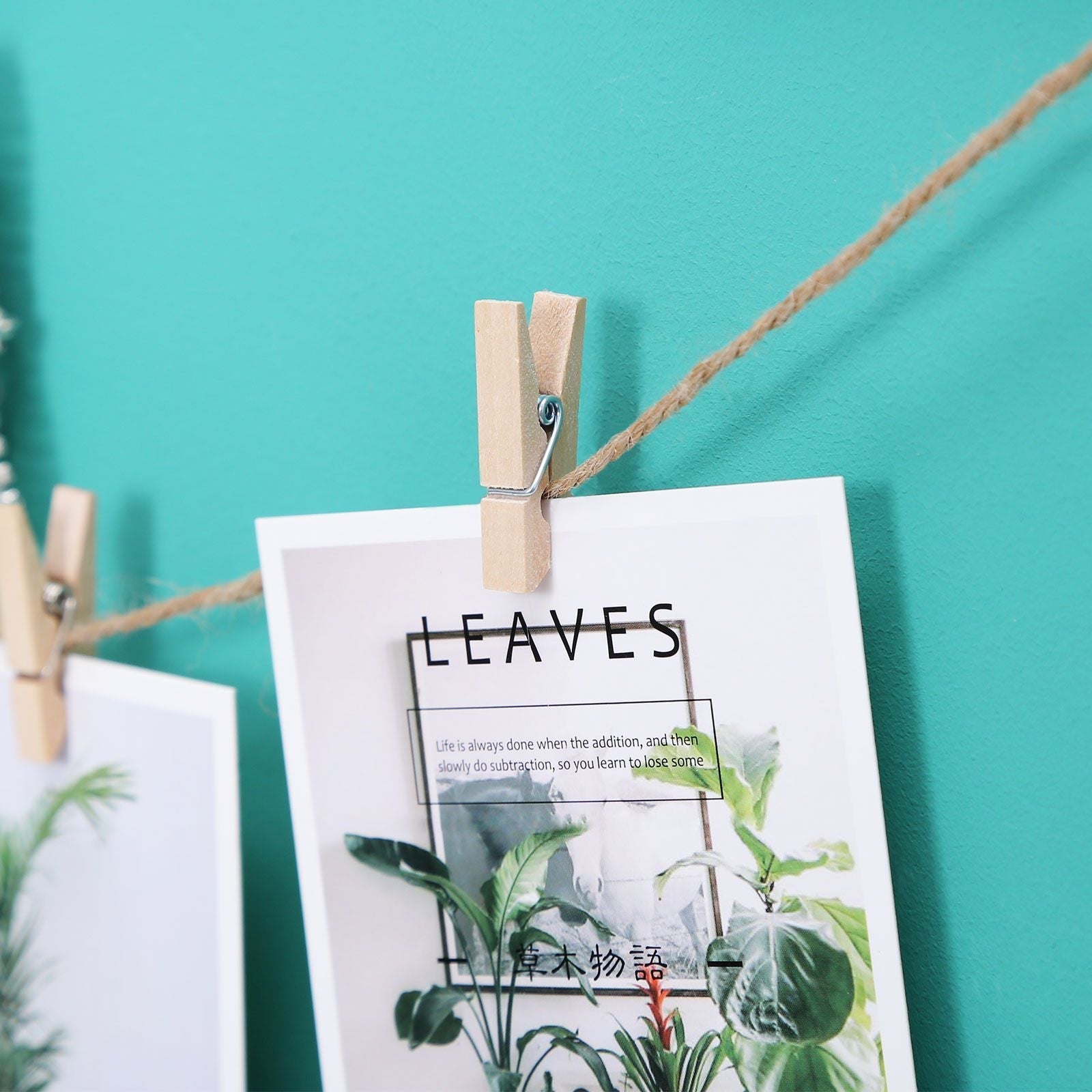 Grid Panel Photo Wall - Metal Mesh - Rose Gold - Multifunctional DIY Display with Clips and S Hooks