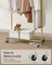 Heavy-Duty Clothes Rack - Metal - Pale Gold - Extendable Hanging Rail