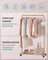 Clothes Rack - Metal - Pale Gold - Portable with Storage Shelf