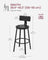 Tall Bar Stools - Heavy-Duty Steel - Rustic Brown and Black - Backrest Design