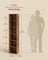 Bookcase - Standing with Multiple Tiers - Rustic Brown - 30.2 x 24 x 160.7 cm