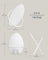 Set of Egg-Shaped Wall Hooks - Holds up to 5 kg - Metal - Pearl White