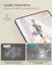 Full Length Mirror - Aluminium Alloy - Ink Black - Stand Accessory