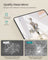 Full Length Mirror - Tempered Glass - Ink Black - Over the Door or Wall Mounted