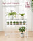 Console Table - Tempered Glass - Gold - Adjustable Legs and Two Shelves