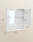 Wall-Mounted Storage Cabinet - Wood - White - Double Mirrored Doors with Adjustable Height Rack