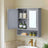 Bathroom Cabinet - Engineered Wood - Dove Gray - Wall-Mounted with 2 Mirrored Doors and Adjustable Shelf