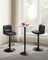 Bar Stools Set of 2 - PU - Adjustable