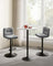 Bar Stools Set of 2 - PU - Adjustable