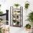 4-Tier Bookshelf - Iron Frame - Greige and Black