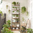 Wall-Mounted Ladder Shelf - 6-Tier Design - Wood - Rustic Brown and Black - Safety First