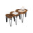 Set of 3 Nesting Coffee Table - Particleboard and Steel - Rustic Brown