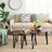 Set of 3 Nesting Coffee Table - Particleboard and Steel - Rustic Brown