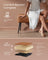 Ottoman Bench - Synthetic Leather - Caramel Brown - Mid-Century Modern with Steel Legs