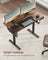 Electric Standing Desk - Steel - Modern Gray - Height Adjustable