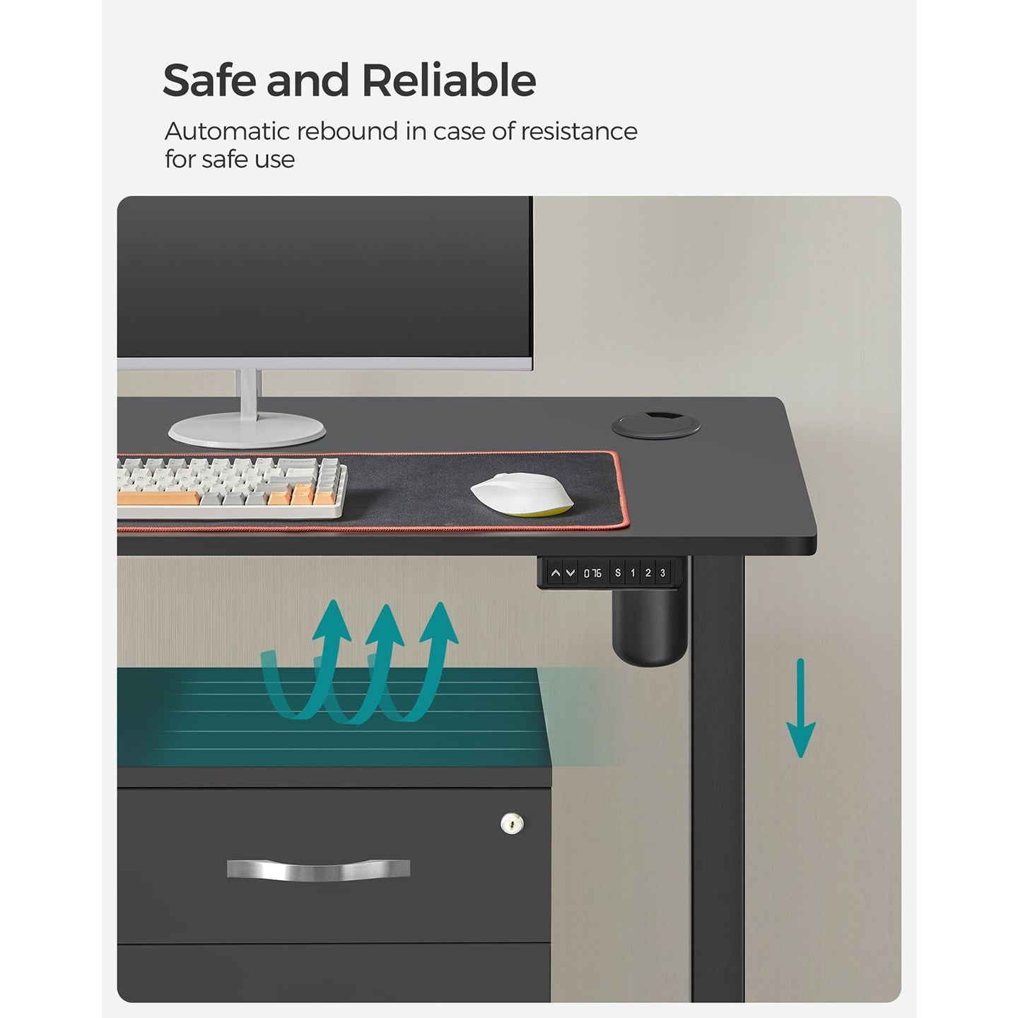 Height Adjustable Electric Standing Desk - Wood - Black - Memory Function with Continuous Height Adjustment