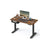 Height Adjustable Electric Standing Desk - MDF - Rustic Brown and Black - Continuous Adjustment with Memory Function