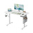 Height Adjustable Desk - Engineered Wood - Cloud White - Electric with 4 Memory Heights and Storage Pocket