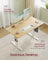 Electric Standing Desk - Metal - Cloud White - Height Adjustable with 4 Memory Heights and Storage Pocket
