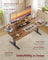 Electric Standing Desk - Wood - Rustic Brown - Height Adjustable with Monitor Stand and USB-C Port