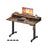 Electric Standing Desk - Wood - Black - Adjustable Height with Built-In Power Strip
