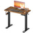Standing Desk - Electric Height-Adjustable - Rustic Brown - 80 x 50 x 72-120 cm