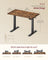 Electric Standing Desk - 100x60 - Steel - Height Adjustable
