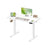 Electric Standing Desk - 100x60 - Steel - Height Adjustable