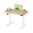 Electric Standing Desk - 100 x 60 - Steel - Height Adjustable