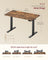 Electric Standing Desk - 120 x 60 cm - Steel - Height Adjustable