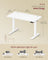 Electric Standing Desk - 120 x 60 - Steel - Height Adjustable