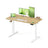 Electric Standing Desk - 120 x 60 - Steel - Height Adjustable