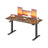 Electric Standing Desk - 140 x 60 - Steel - Height Adjustable