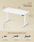 Electric Standing Desk - 140 x 60 - Steel - Height Adjustable