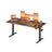 Electric Standing Desk - 160 x 70 - Steel - Height Adjustable